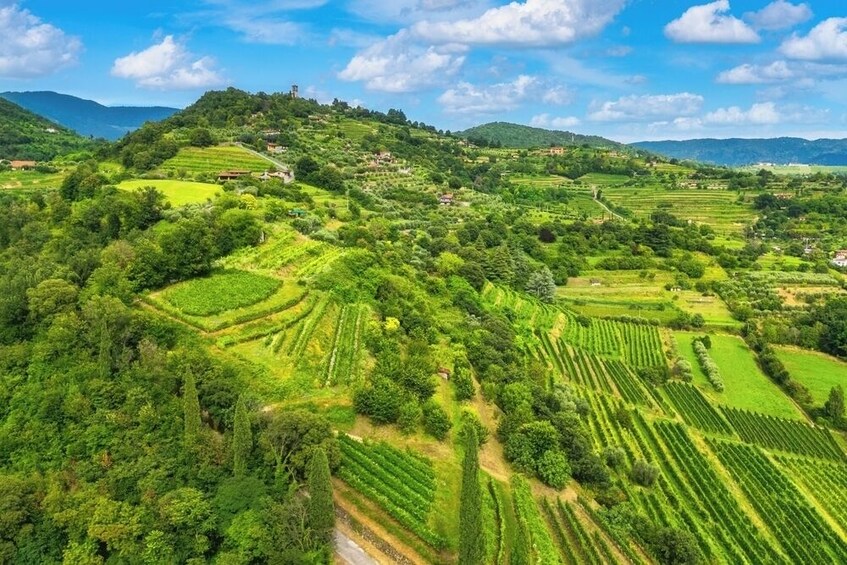 Franciacorta wine region & Lake Iseo cruise from Milan