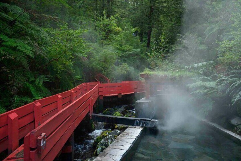 Geometric Baths from Valdivia with lunch