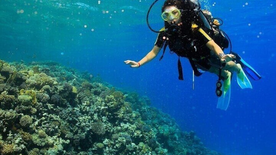 Marsa Mubarak Sea Adventure Snorkeling, Diving & Lunch–Marsa Alam