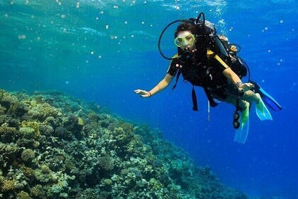 Marsa Mubarak Sea Adventure Snorkeling, Buceo y Almuerzo – Marsa Alam