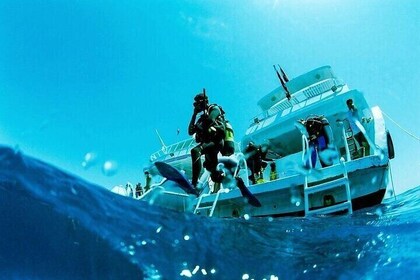 Advanced Diving Experience in the Stunning Red Sea–Sharm ElSheikh