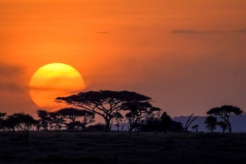 Serengeti National Park, Tanzania