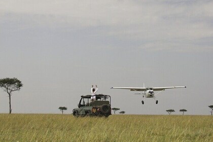 8 Day Flying Safari To Masai Mara, Serengeti and Ngorongoro