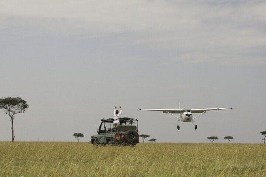 8 Day Flying Safari To Masai Mara, Serengeti and Ngorongoro