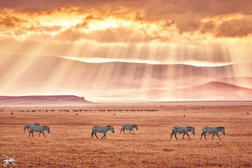 Ngorongoro Crater