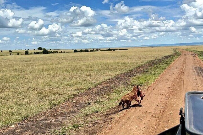 Masai Mara