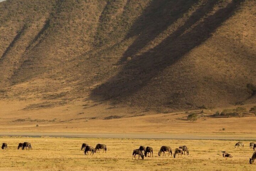 Ngorongoro Crater