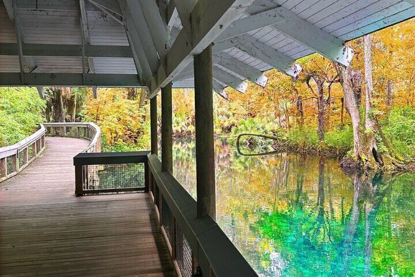 Silver Springs Jungle Kayaking and Paddleboarding