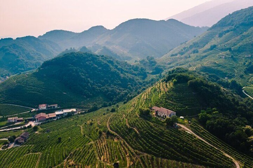 Prosecco Wine Tasting Full-Day Private Guided Tour from Venice