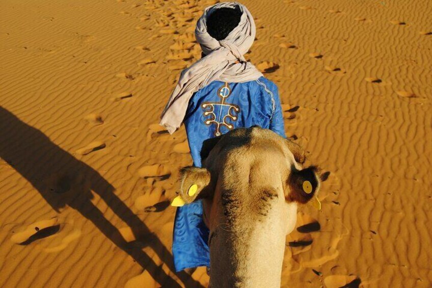 Fes Camel Treks Dunes and Desert Multi Day Trip