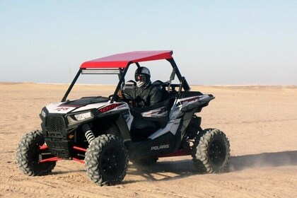 Coche buggy, Paseo en camello, Pueblo beduino, Show & Cena - Hurghada