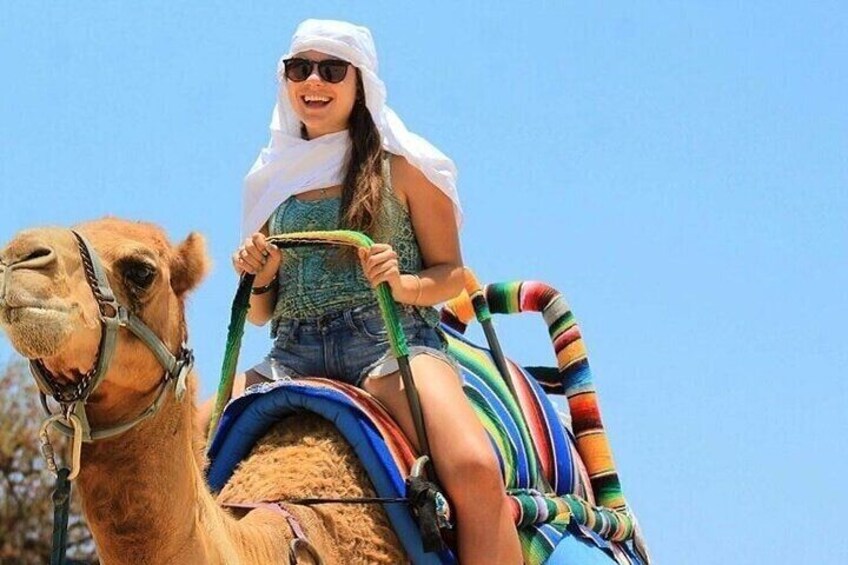 Family Buggy car With Camel ride And Bedouin Village - Hurghada