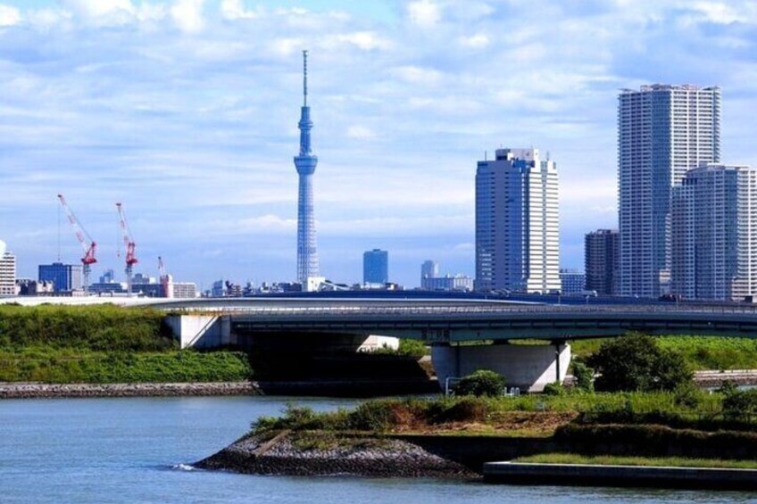 Guided Imperial Palace and Guided Tokyo City Private Day Trip 
