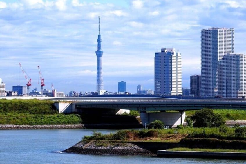 Guided Imperial Palace and Guided Tokyo City Private Day Trip