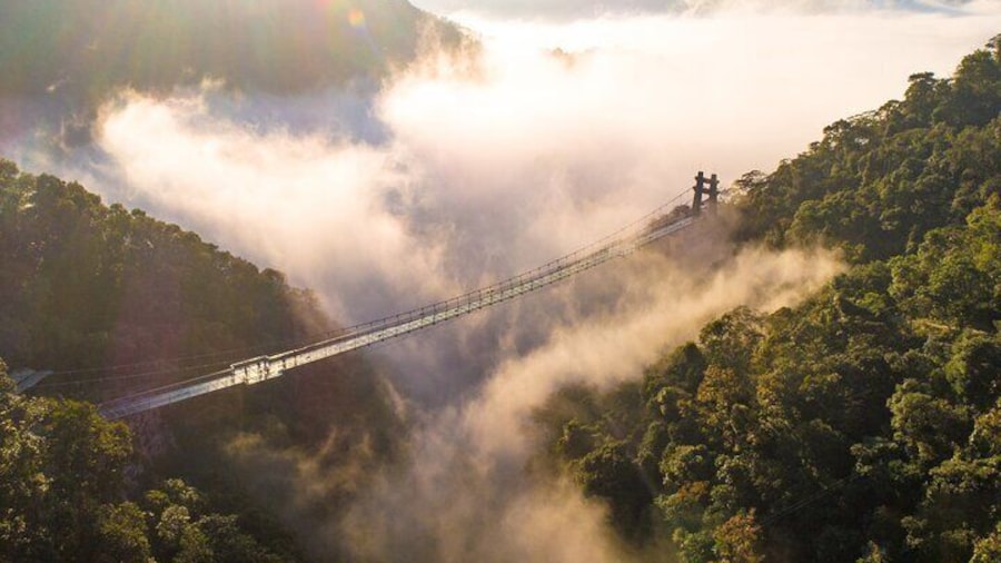 Private Day Trip from Hong Kong to Gulong Gorge Glass Skywalk