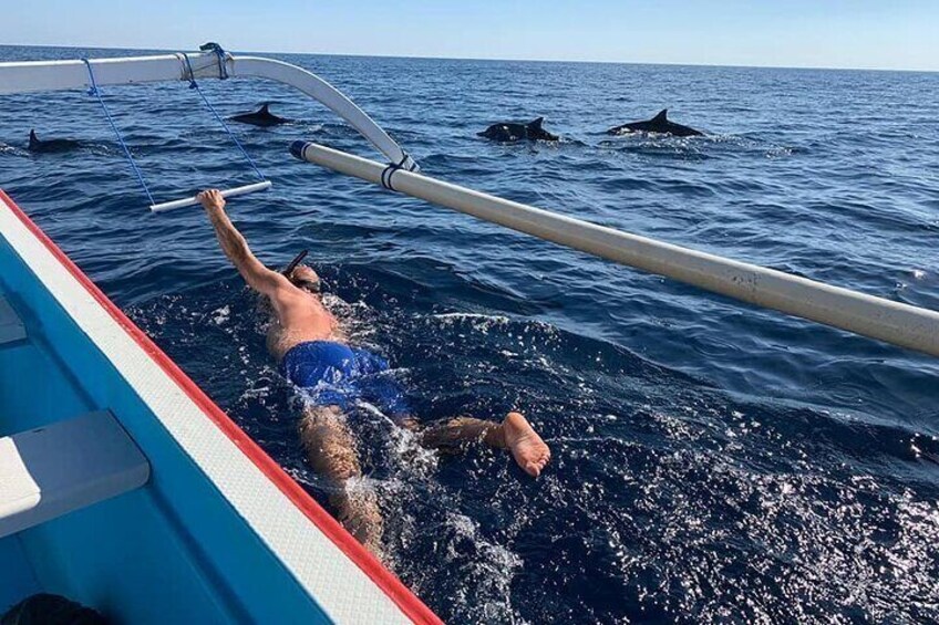North Bali Dolphin Watching and Snorkeling Tour