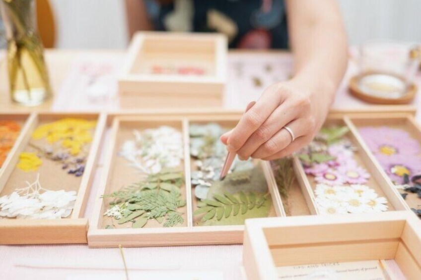 Pressed Flower Art 