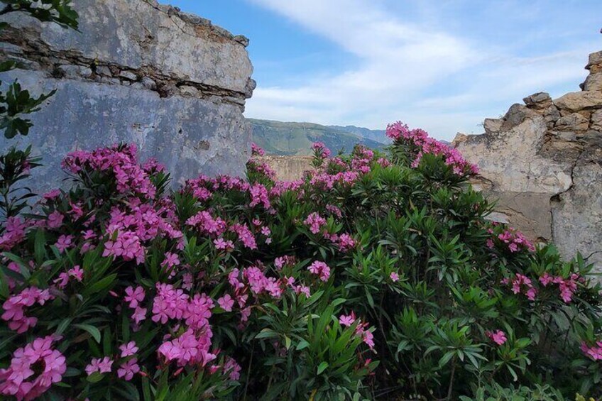 From Vlora: Explore the Riviera’s Hidden Gems to Porto Palermo