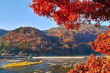 Kyoto Kifune Shrine to Arashiyama Bamboo Forest Tour