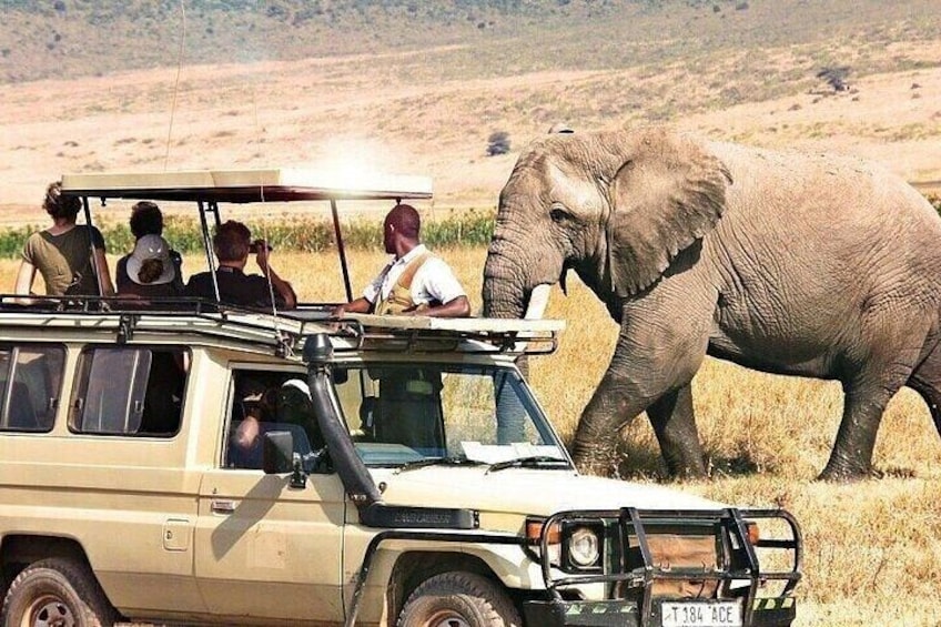 5-Day Comfort Safari Tour in Nairobi