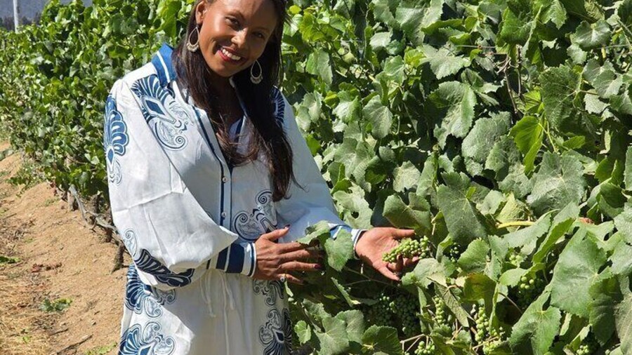 Winery Tour & Tasting + Lapis Lazuli Craft Visit + Hotel Pickup