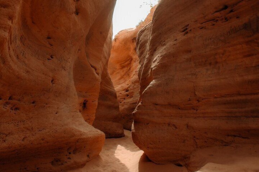 Timlaline Tour: Quad, Sandboarding, Camel Ride & Free Photography