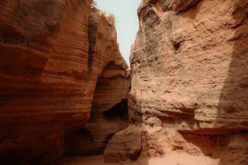 Timlaline Tour: Quad, Sandboarding, Camel Ride & Free Photography