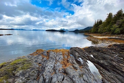 3-Hour Rainforest, Beach & Wildlife Walk