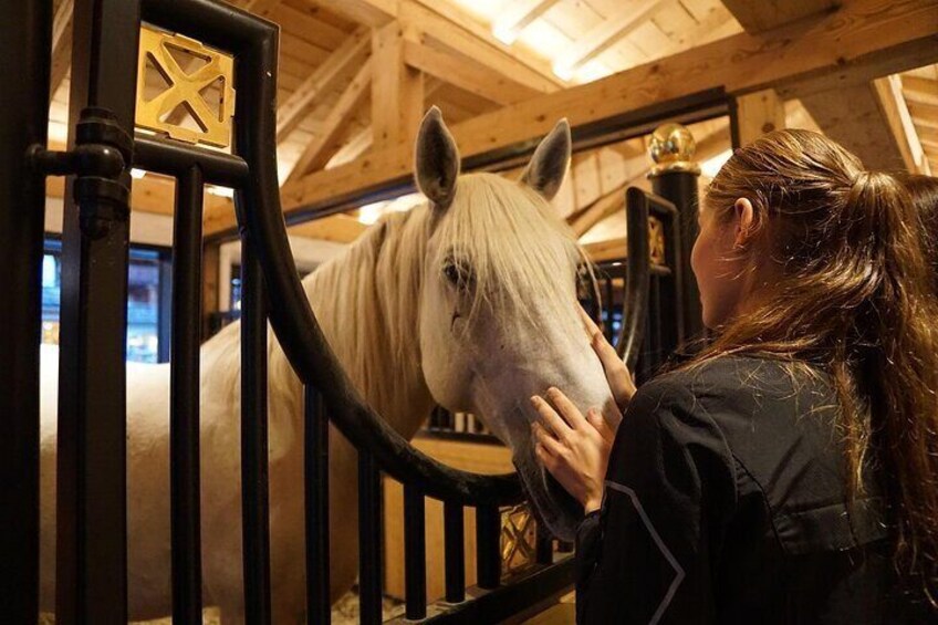 The Cradle of Lipizzaner horses - Half Day Trip from Ljubljana