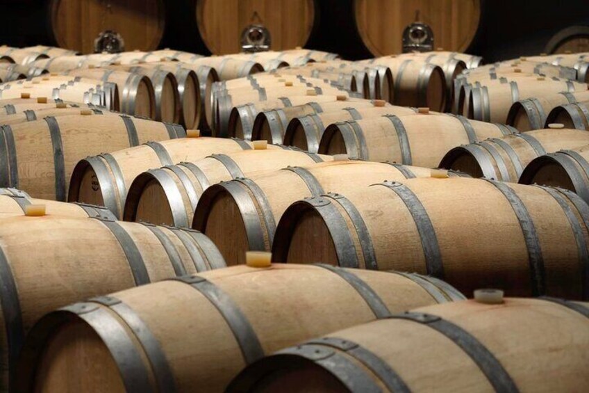 Cellar guided tour
