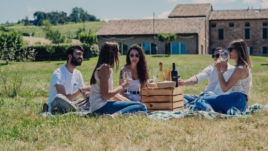 Pic-nic lunch in the vineyards