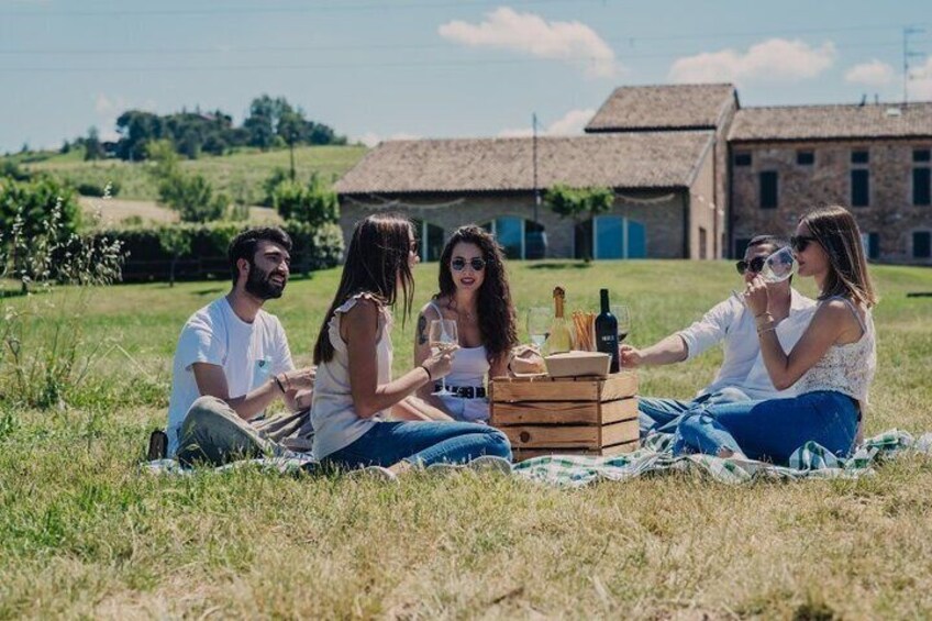 Pic-nic lunch in the vineyards