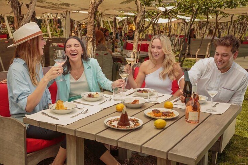 FRANCIS MALLMAN Gourmet Wine Paired Lunch from Mendoza