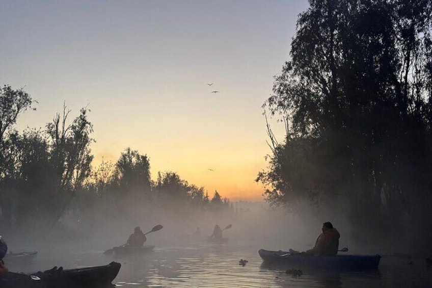 Kayak one more Sunrise Adventure in Xochimilco