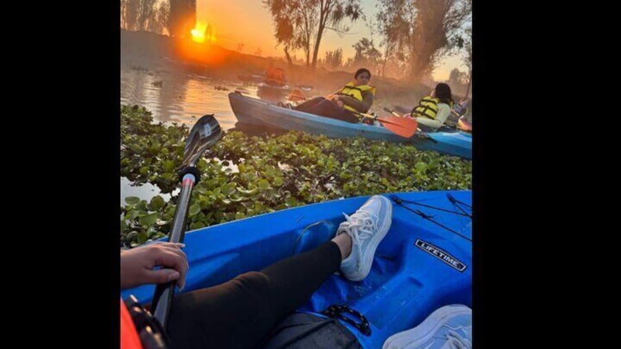 Kayak one more Sunrise Adventure in Xochimilco
