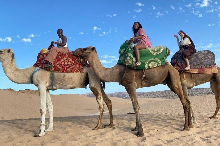 Explore the Desert in Agadir Timlaline Camel Ride 