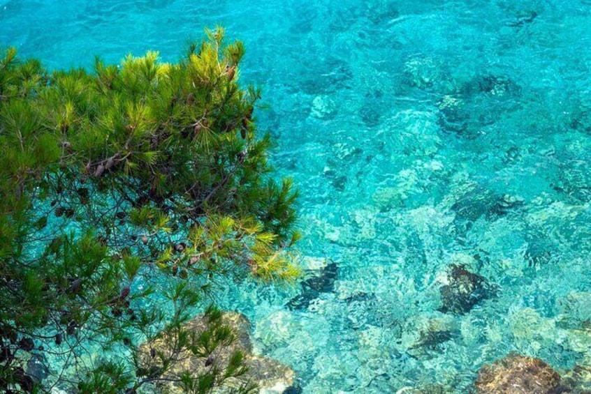 7 Hours Blue Lagoon Day Sailing Cruise