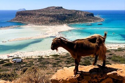 Balos Lagoon and Falassarna Private Tour with Luxury SUV