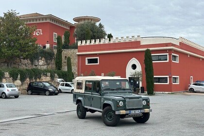 Nice Wine tasting in the hinterland in Defender