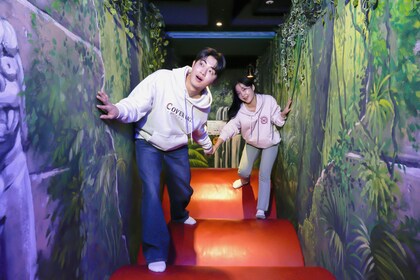 South Korea - Sydkorea: Alive Museum & Dynamic Maze-biljett i Seoul