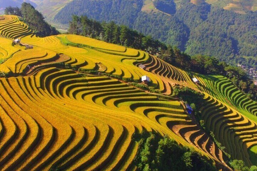 Historic Dien Bien Phu Day Excursion