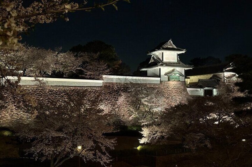 Kanazawa: Full-Day Private Tour to Top Highlights