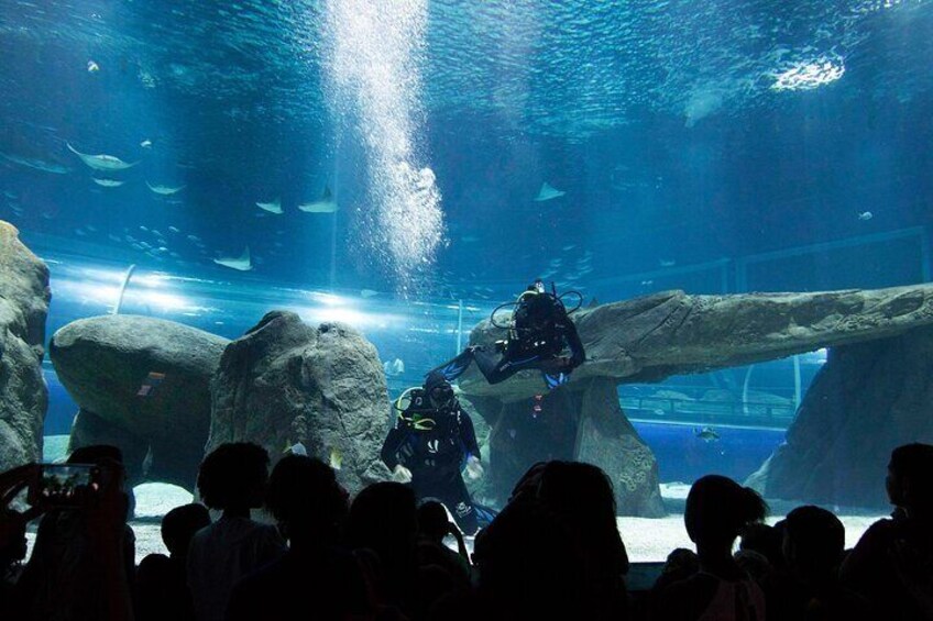 AquaRio Rio de Janeiro Tickets Only