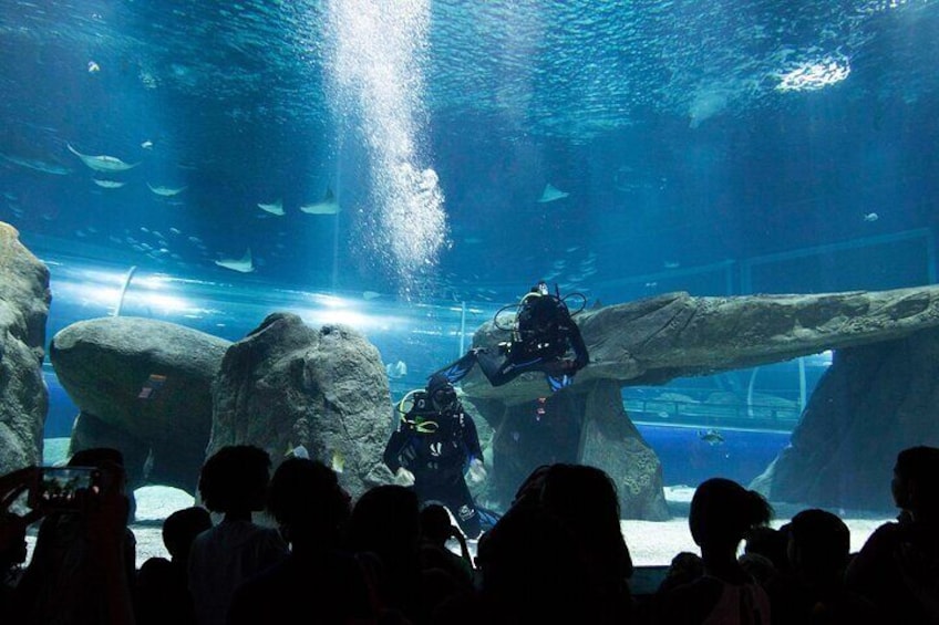 AquaRio Rio de Janeiro Tickets Only