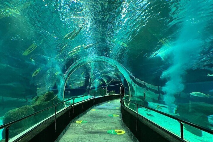 AquaRio Rio de Janeiro Tickets Only