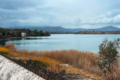 Athens Marathon and Shinias Beach with Swim