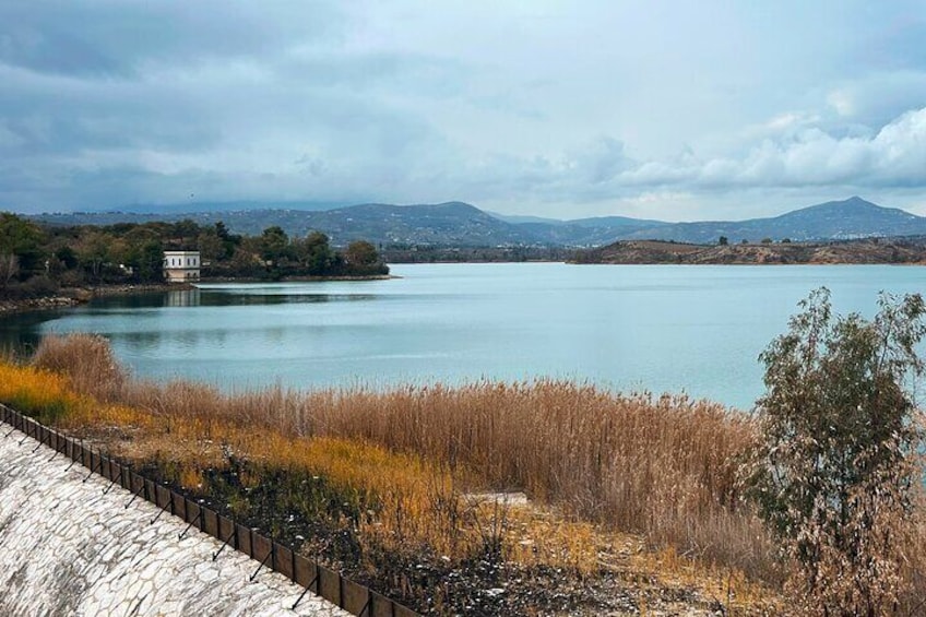 Athens Marathon and Shinias Beach with Swim