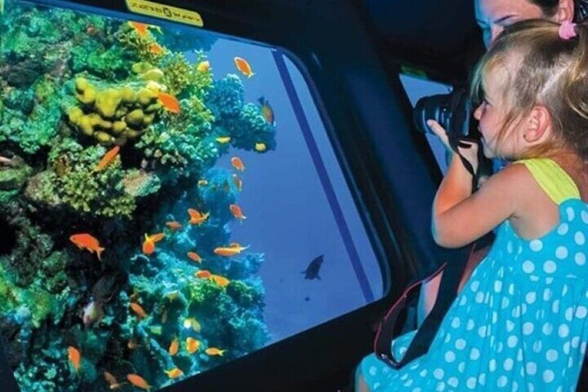 Dive into Adventure: Semi-Submarine Trip & Transfers – Marsa Alam