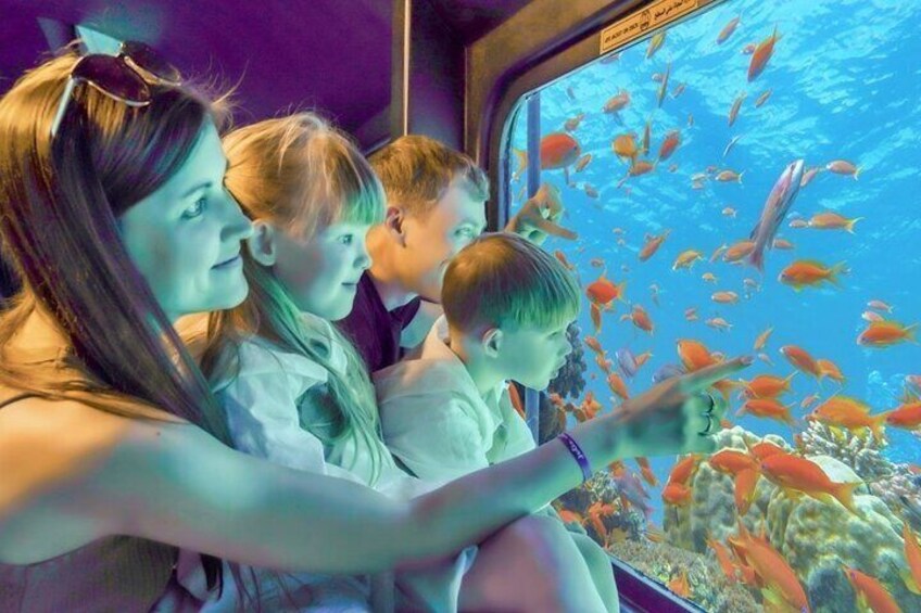Dive into Adventure: Semi-Submarine Trip & Transfers – Marsa Alam