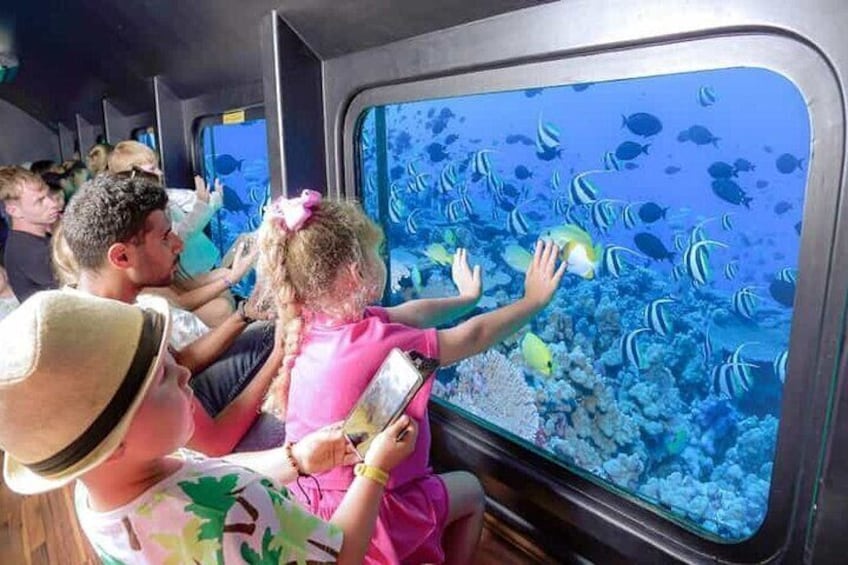 Dive into Adventure: Semi-Submarine Trip & Transfers – Marsa Alam